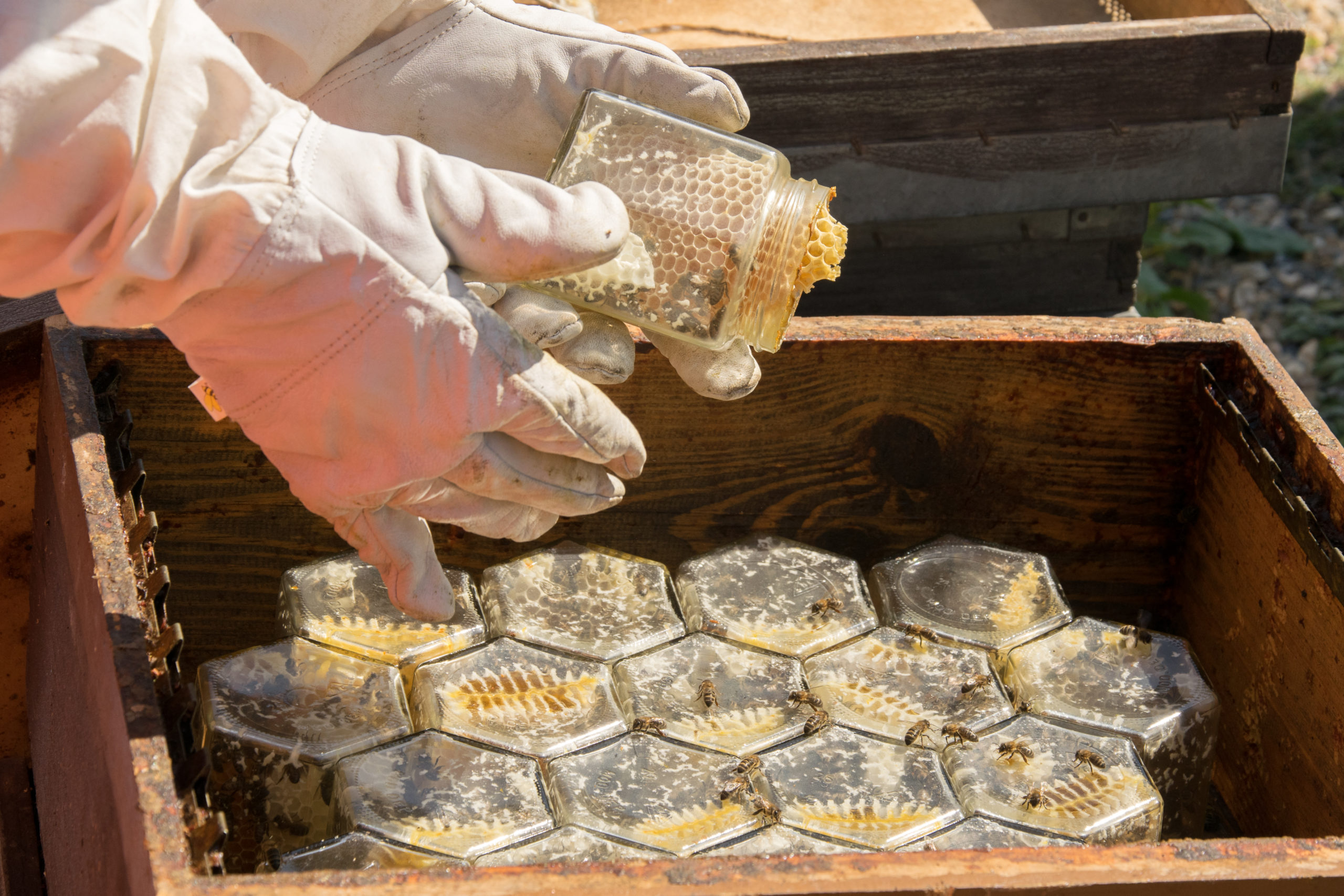 tienda de miel artesanal en alcover actividades vida apicultor